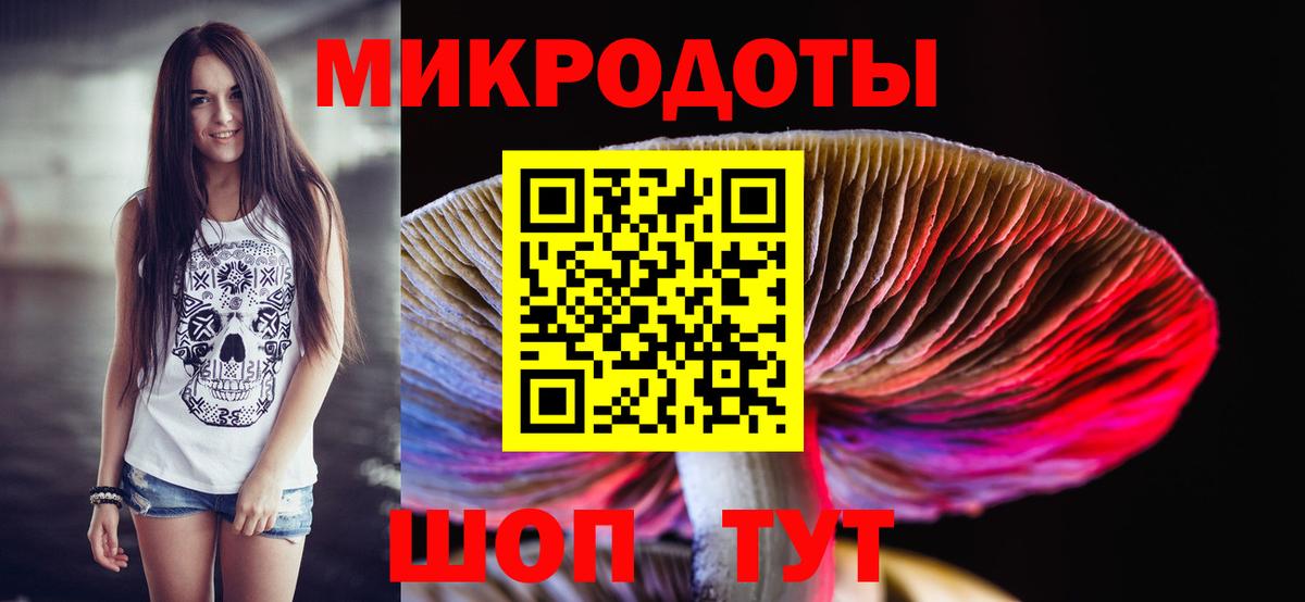 Галлюциногенные грибы Psilocybe Киреевск