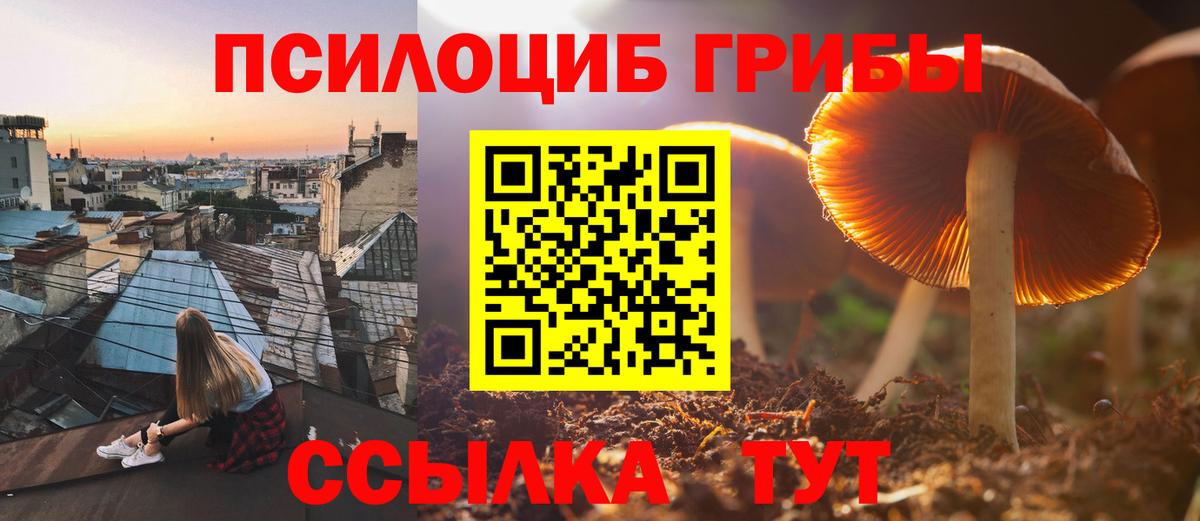 Галлюциногенные грибы Psilocybe  Галлюциногенные грибы Magic Shrooms  Вход с VPN  Киреевск 
